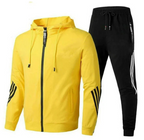 Men's Two-Piece Tracksuit Set for Everyday Wear