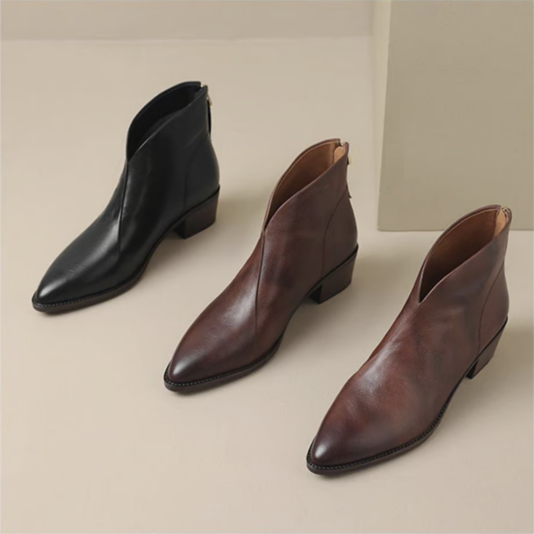 Women's Pointed Toe Ankle Boots, Black and brown – side by side